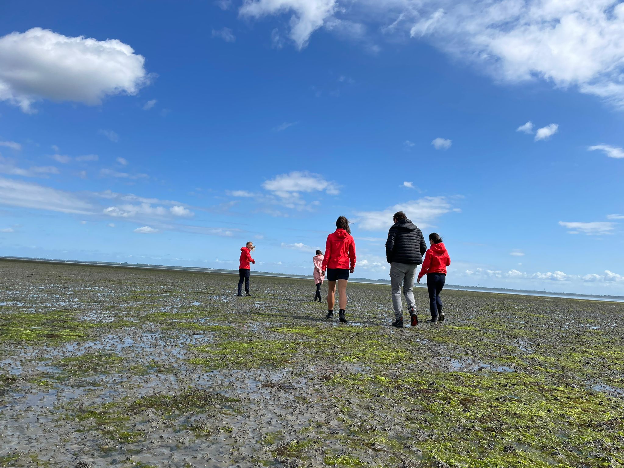 Zonder het Ocean Restoration programma is er géén huisdiervoeding meer