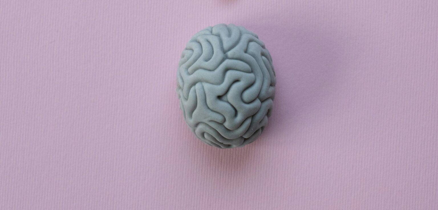 neuroplasticiteit